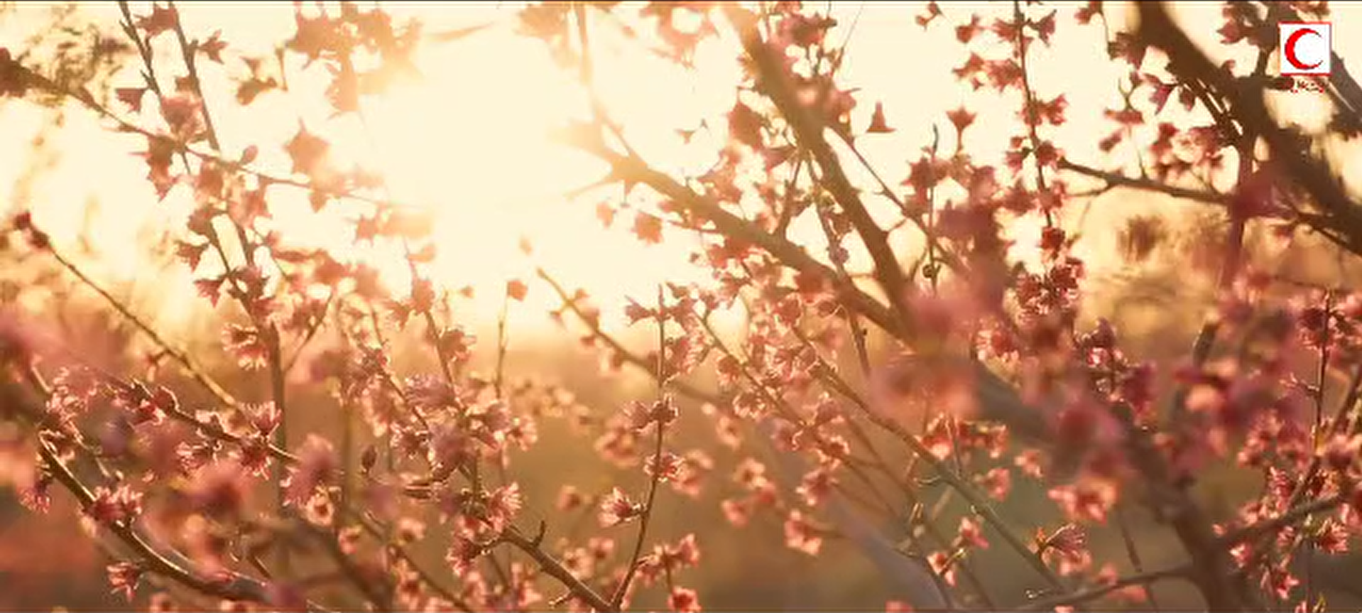 ۲۸۸ ساعت را در ۱۵۱ ثانیه ببینید