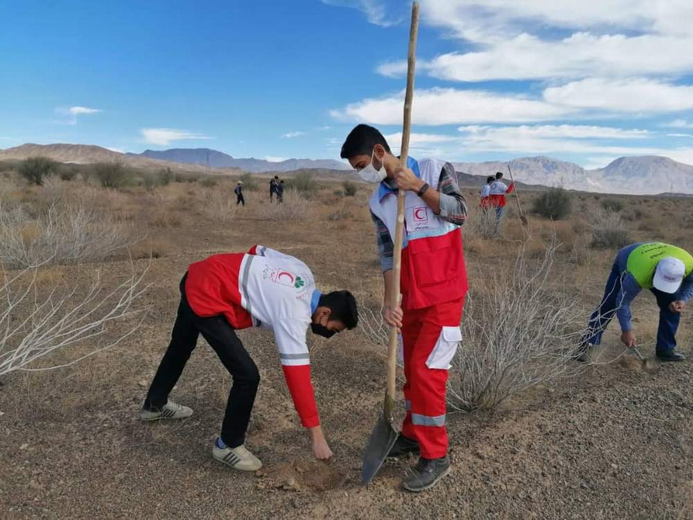 #خبر | مشارکت اعضای جوانان جمعیت هلال احمر شهرستان نی ریز در فعالیت های بشر دوستانه در زمینه حفظ،احیا و توسعه منابع طبیعی کشور
